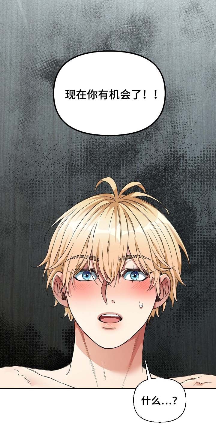 第21章：你有机会了！