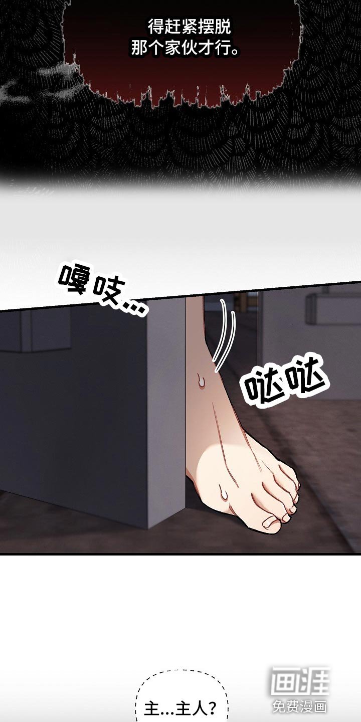 第30章：【第二季】测试