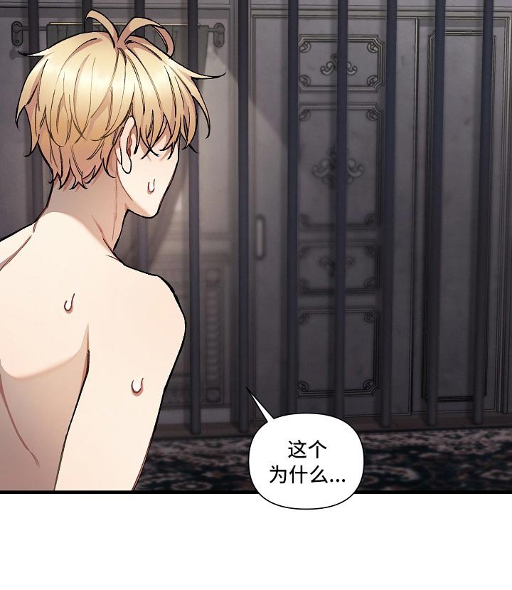 第30章：【第二季】测试