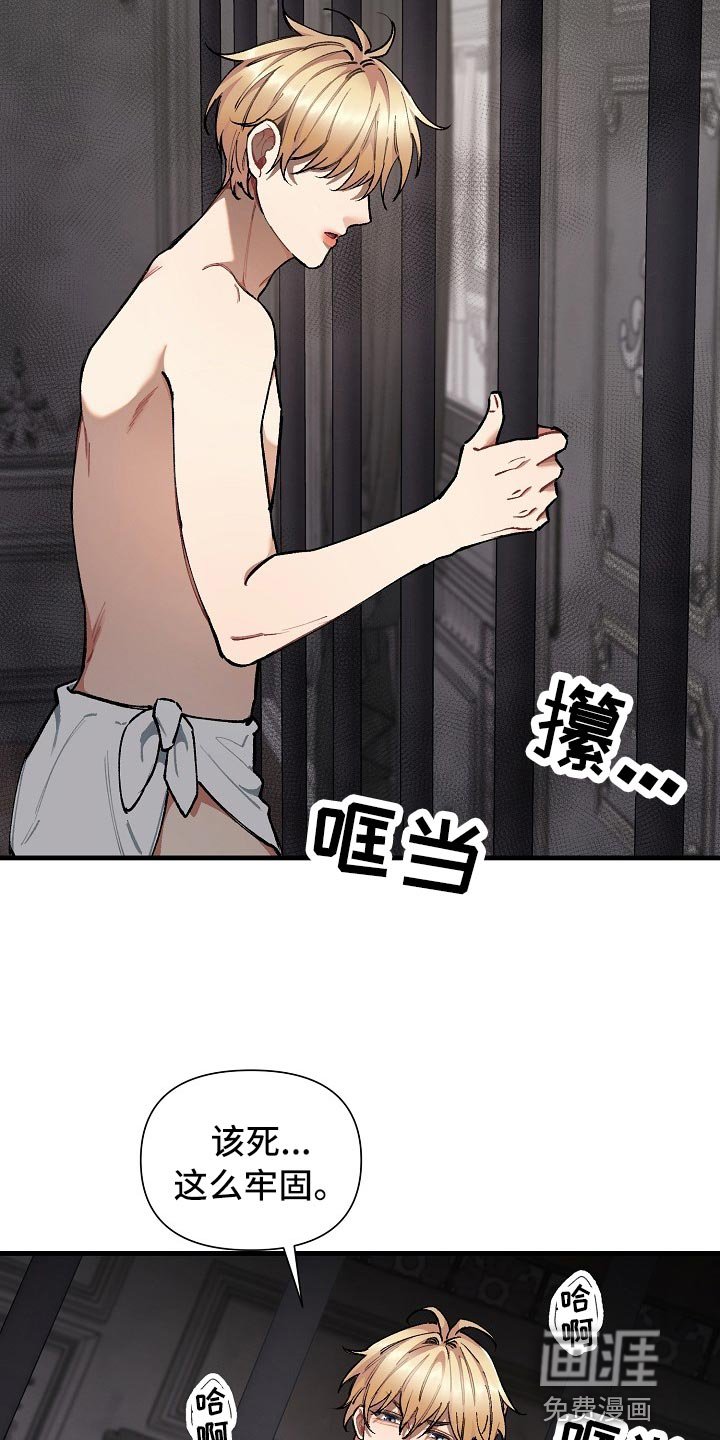 第30章：【第二季】测试