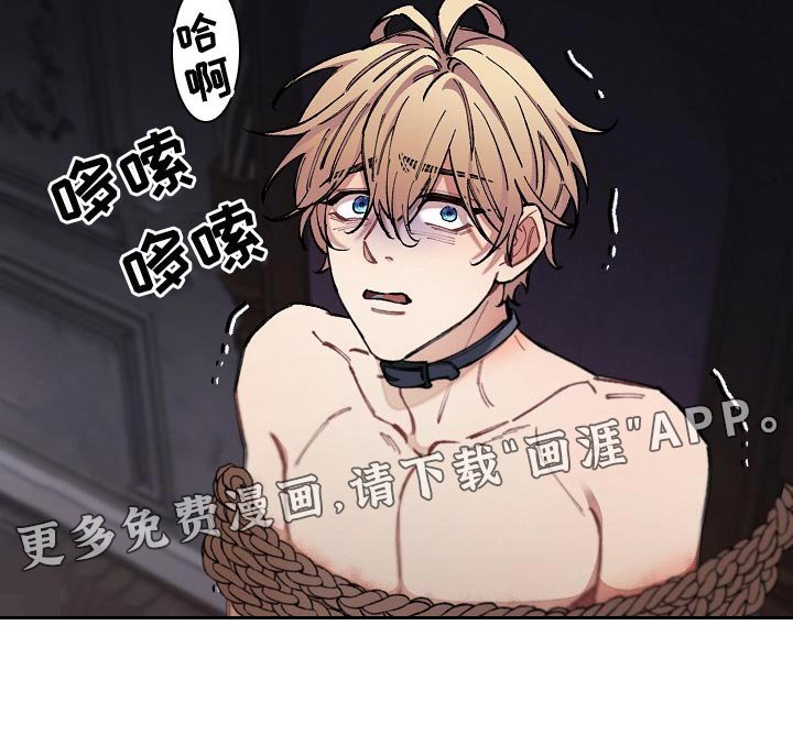 第30章：【第二季】测试