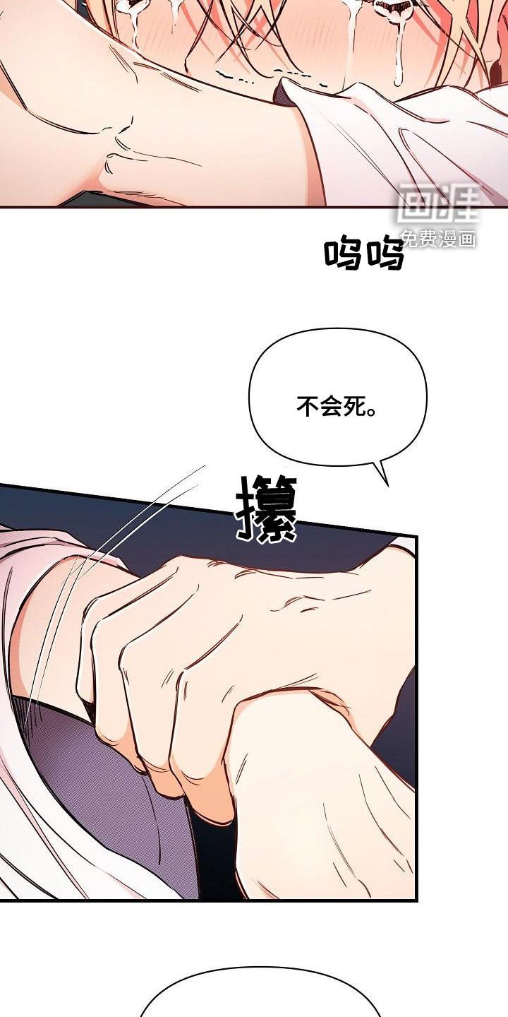 第52章：【第二季】爱的人