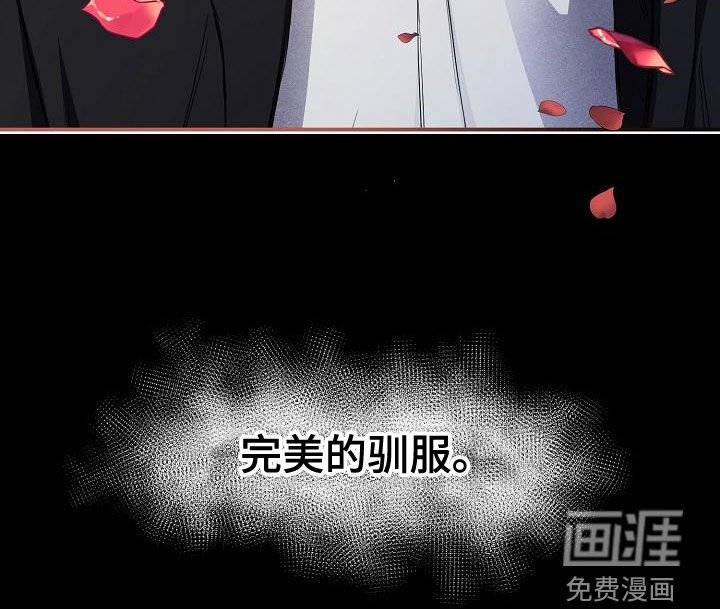 第57章：【第二季完结】完美的驯服