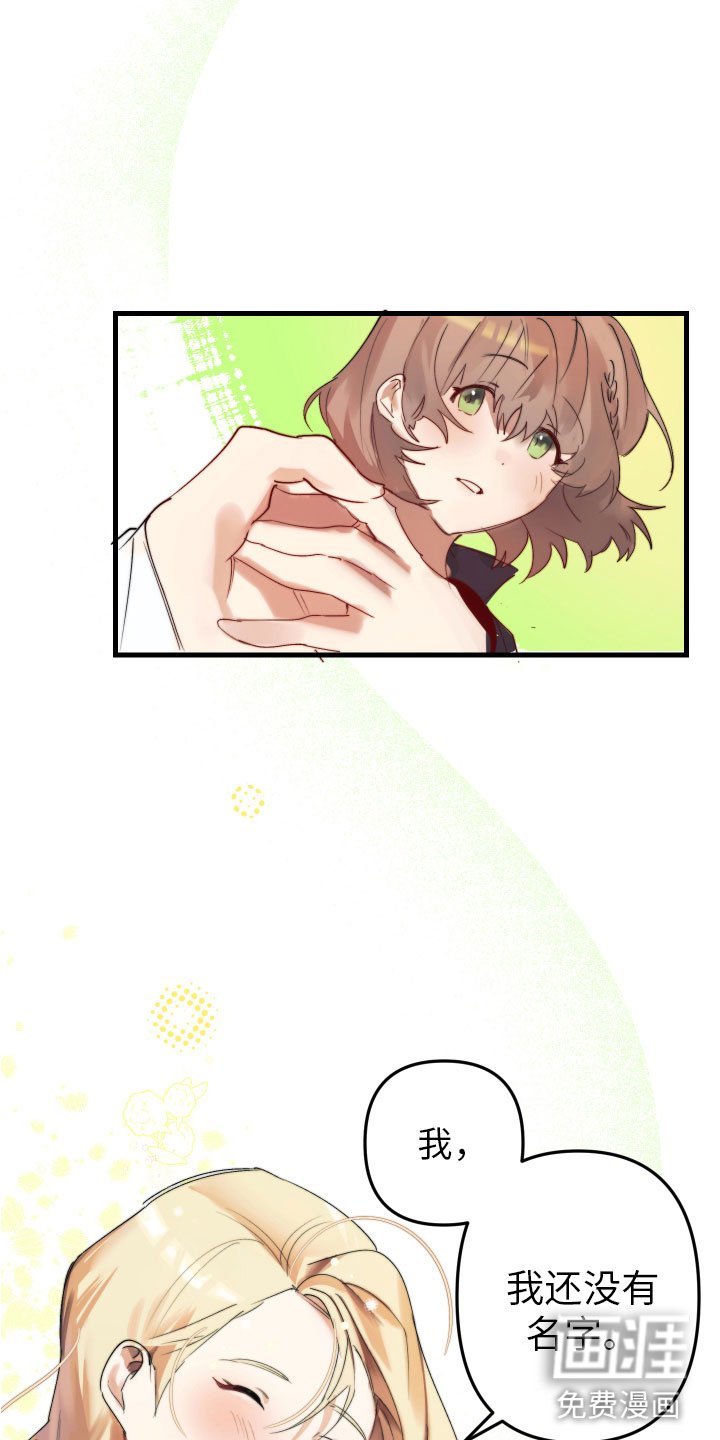 第4章：帮她起名
