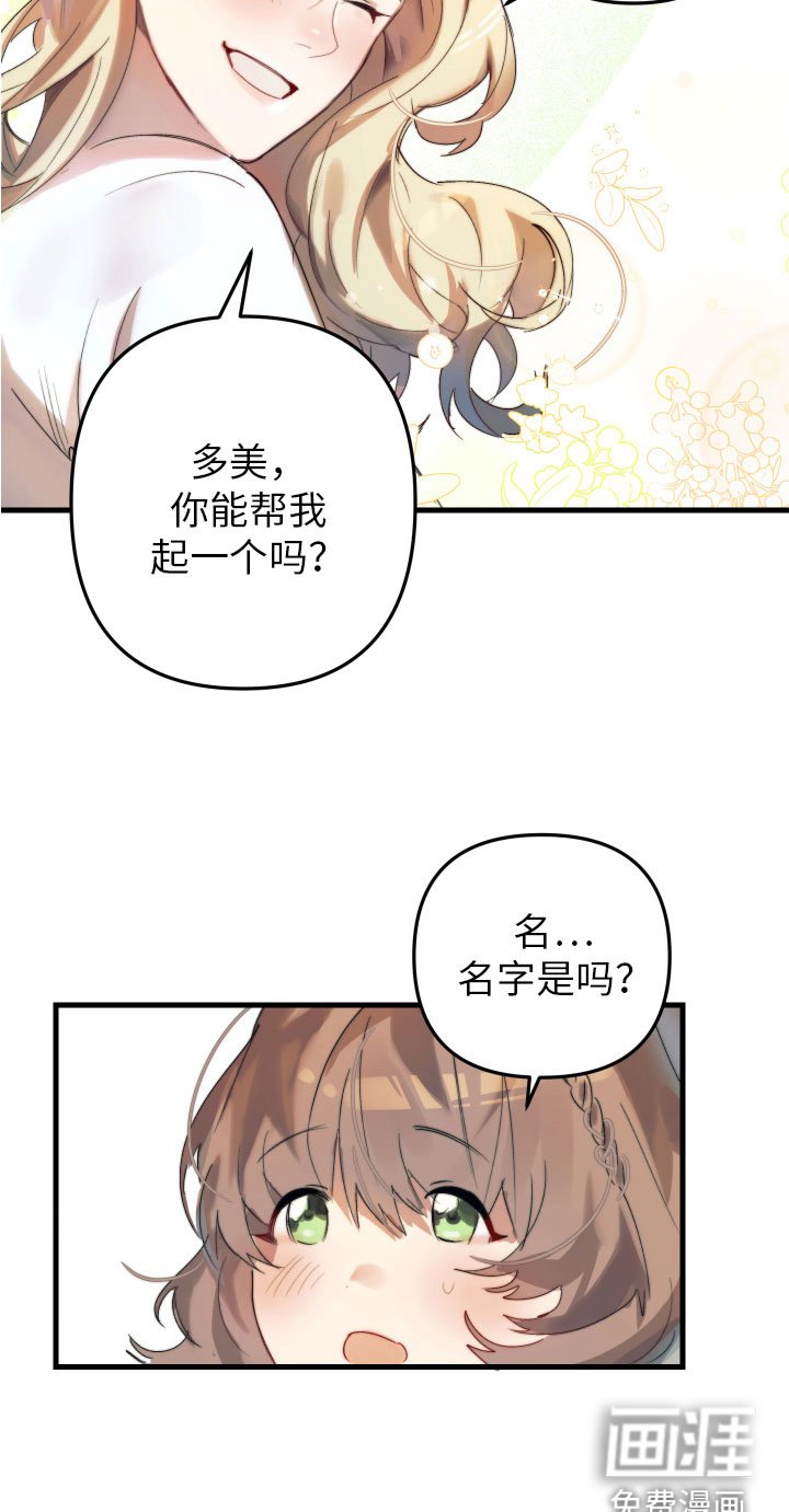 第4章：帮她起名