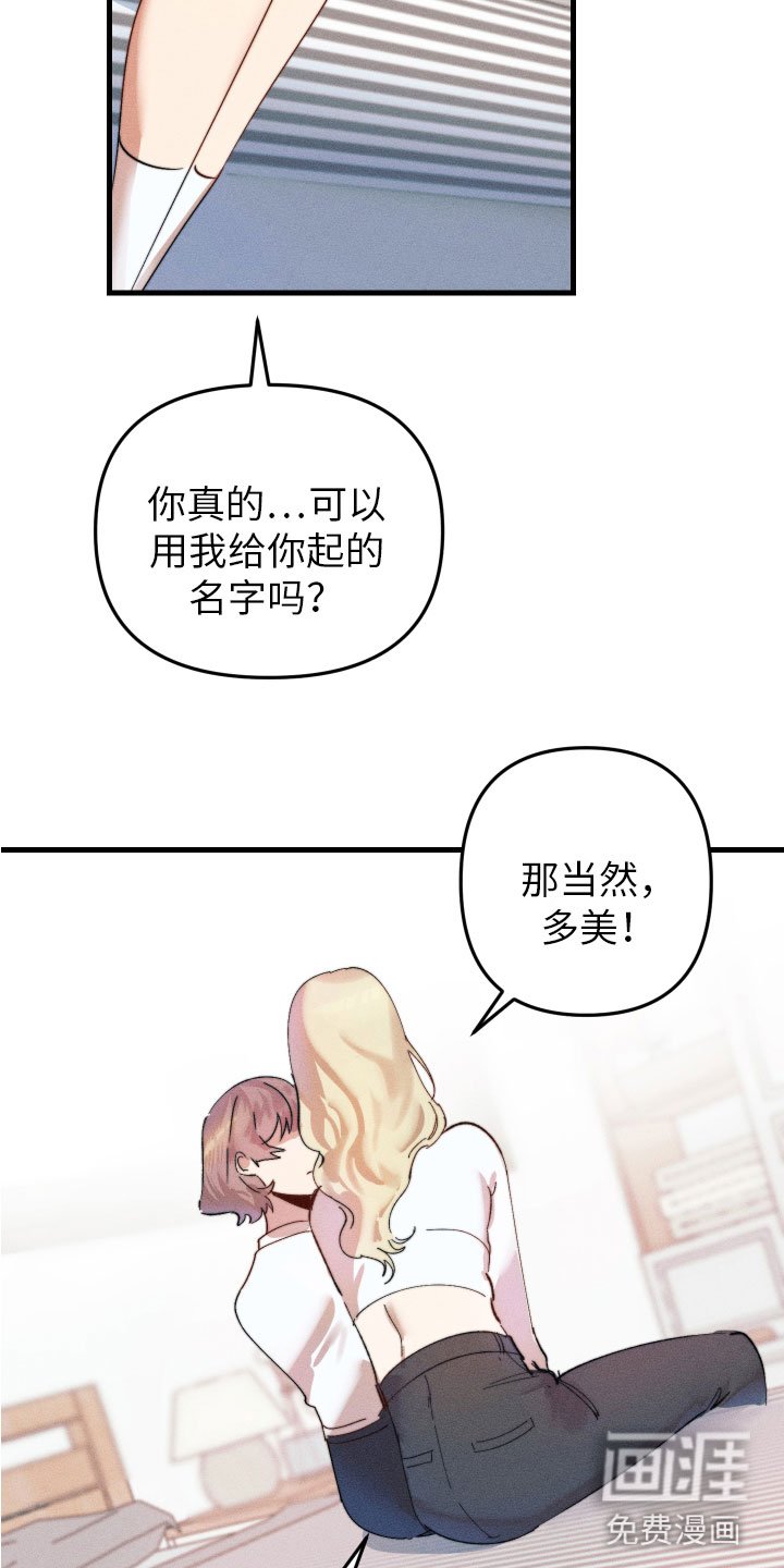 第5章：变得奇怪