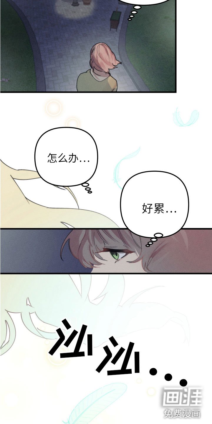 第8章：我该走了