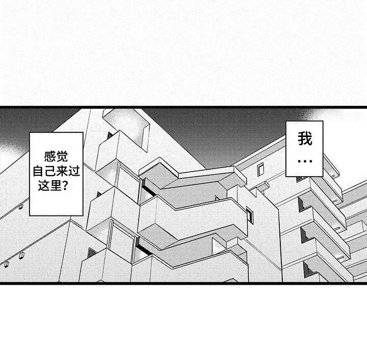 第18章：背回家