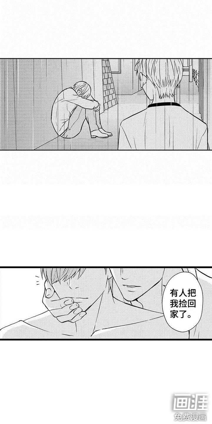 第20章：照顾
