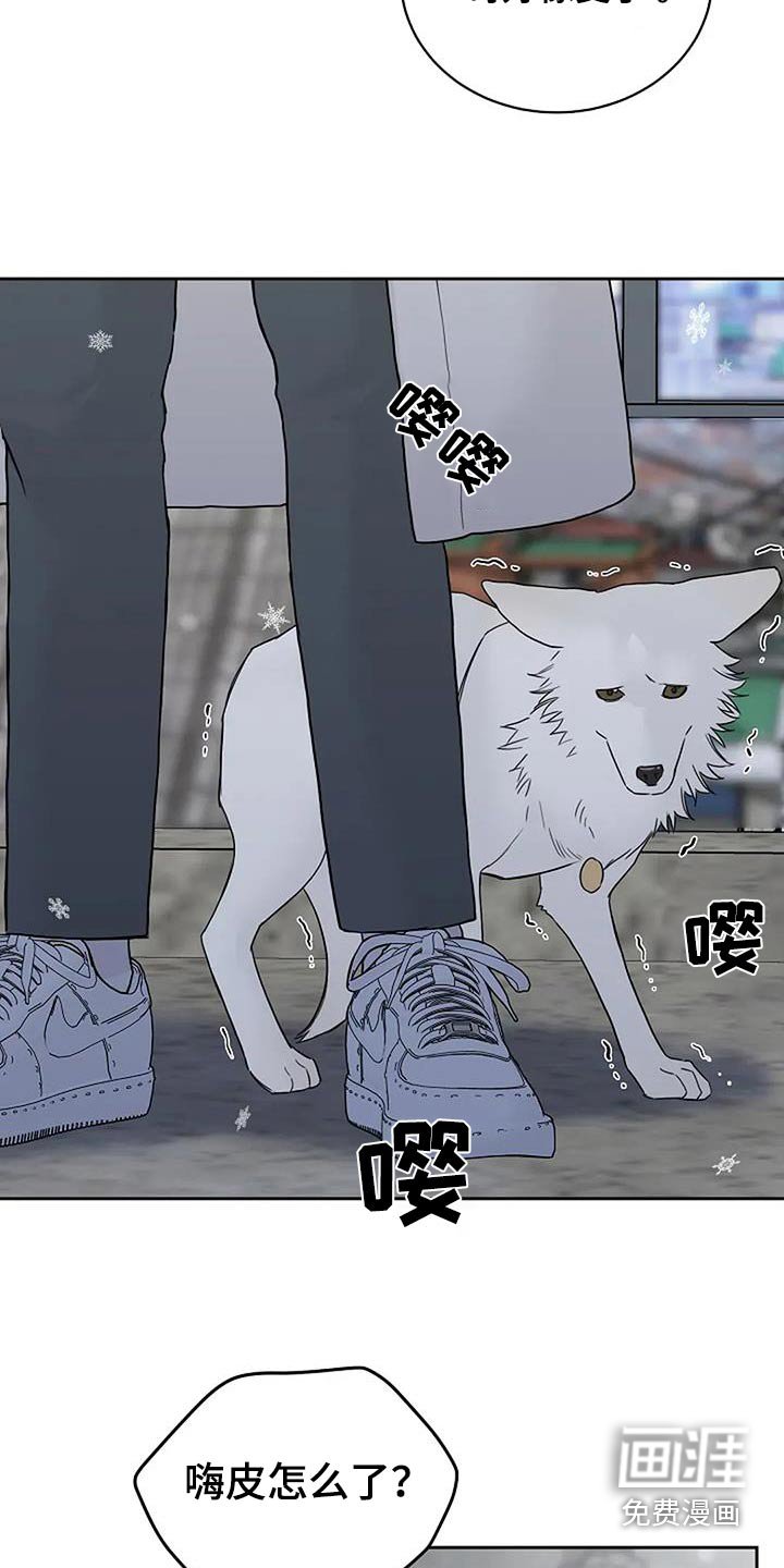 第120章：【第二季】终于可以杀你