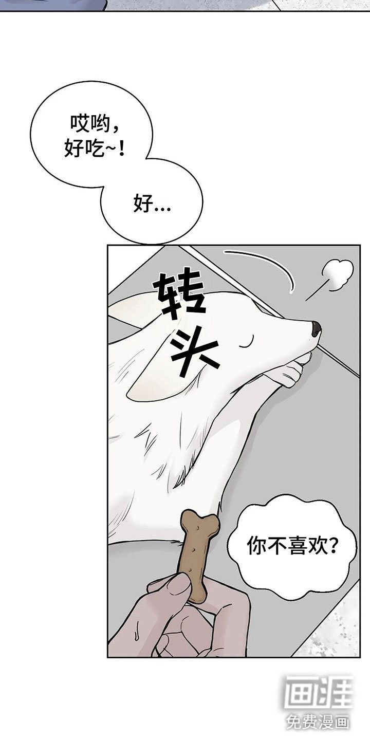 第15章：他的狗