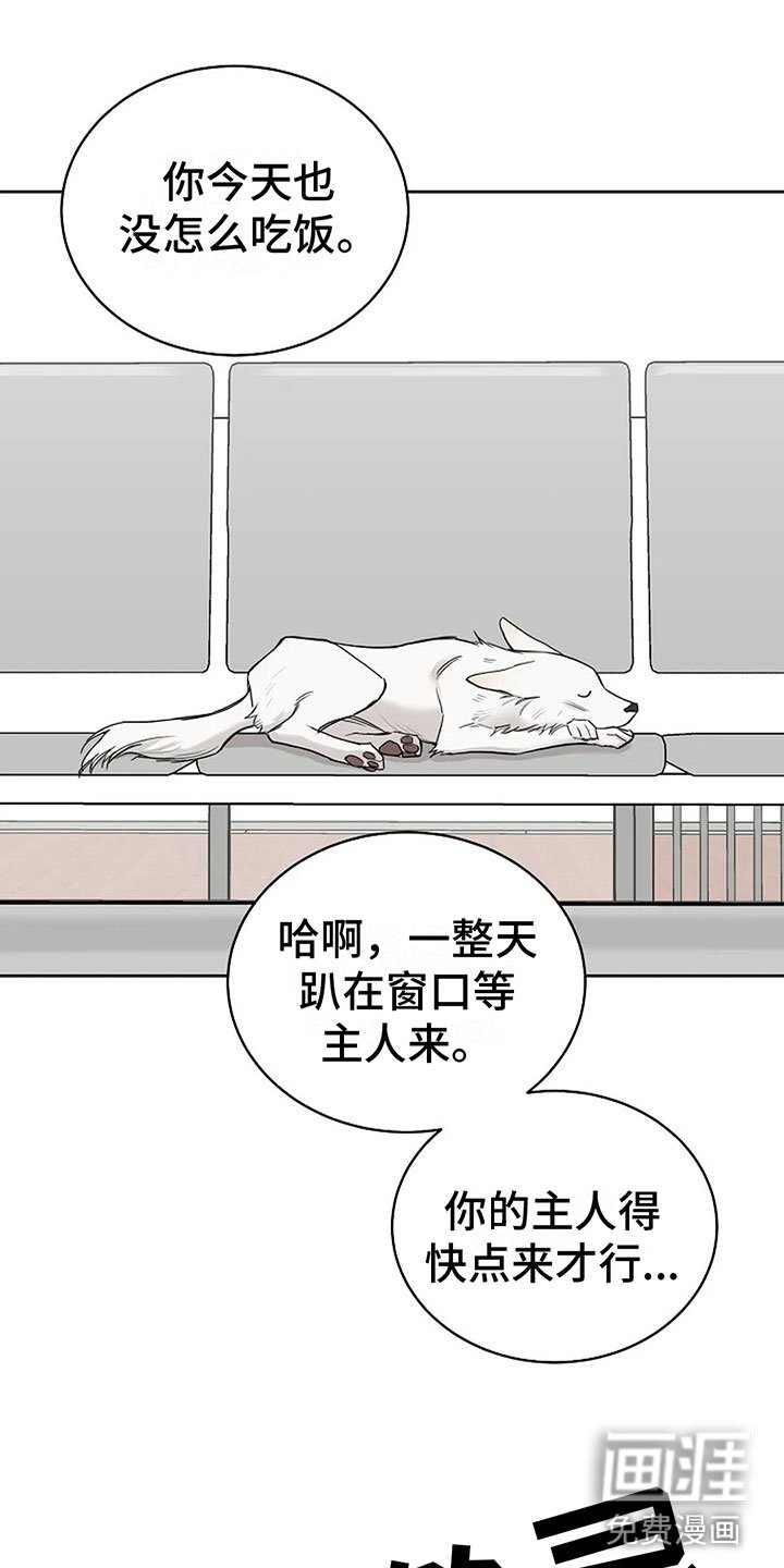 第15章：他的狗