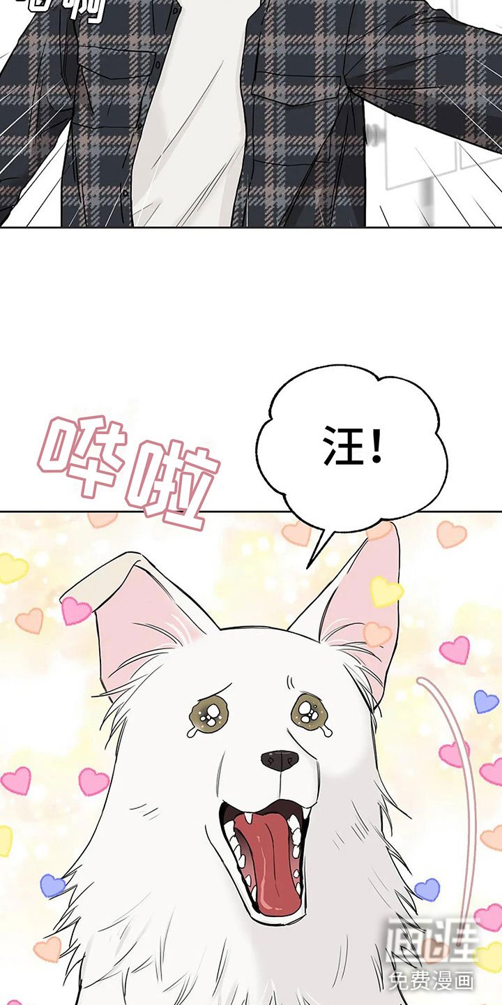 第15章：他的狗