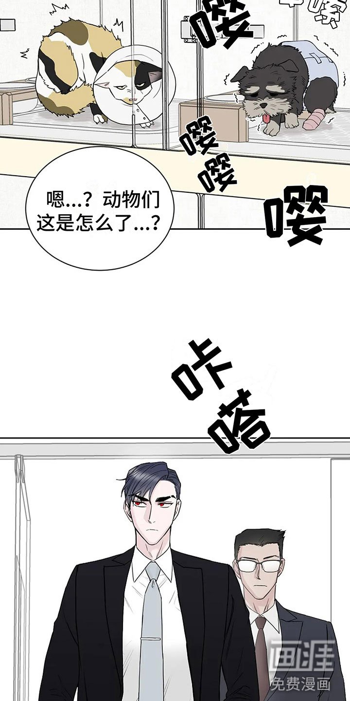 第15章：他的狗