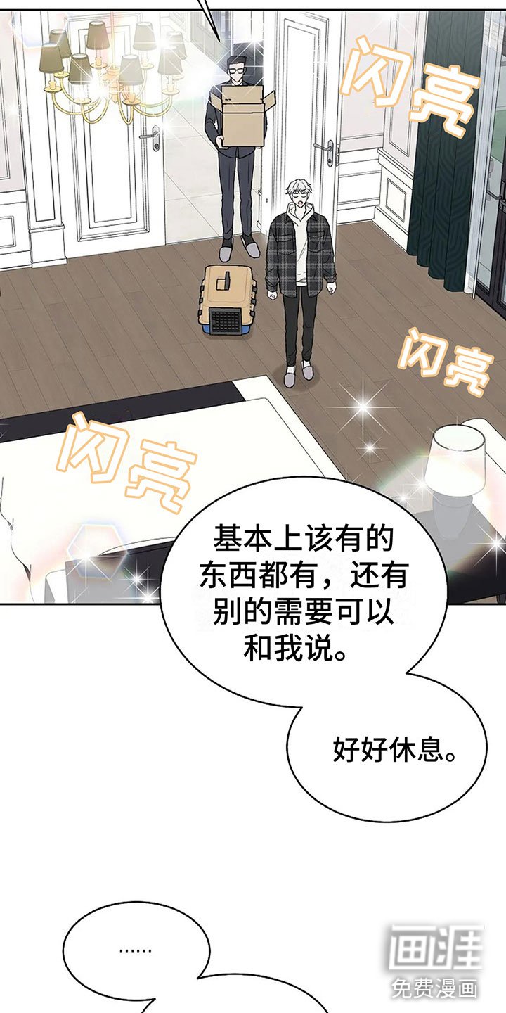 第17章：真的可以吗