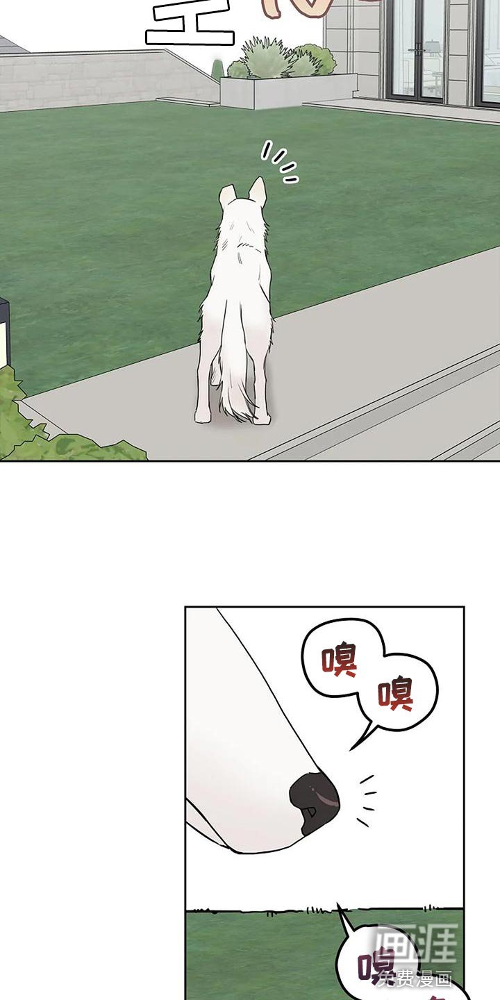 第19章：要被吃掉了