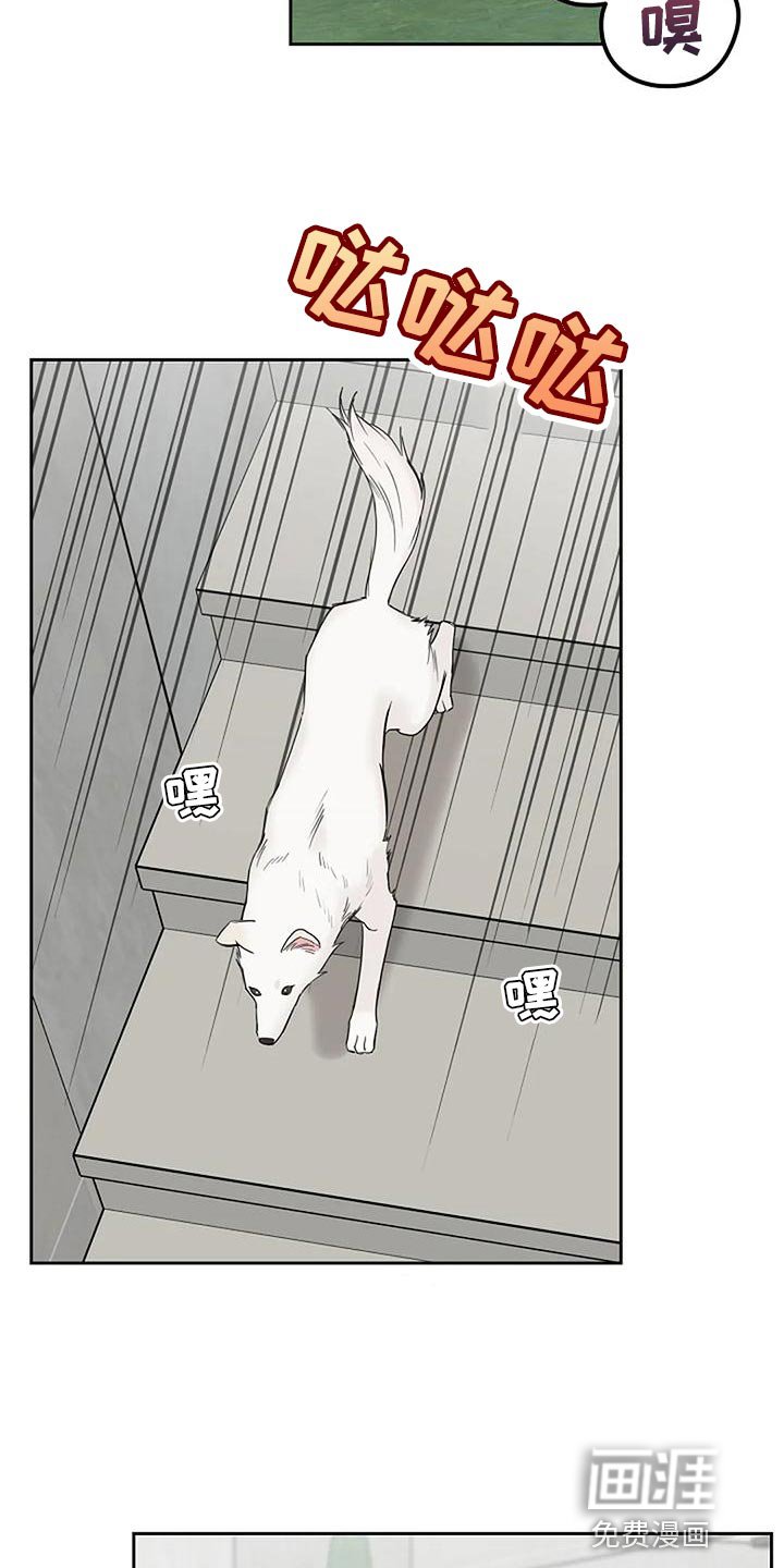 第19章：要被吃掉了