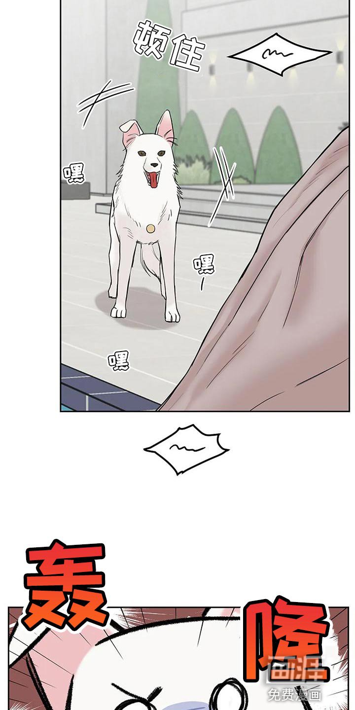 第19章：要被吃掉了