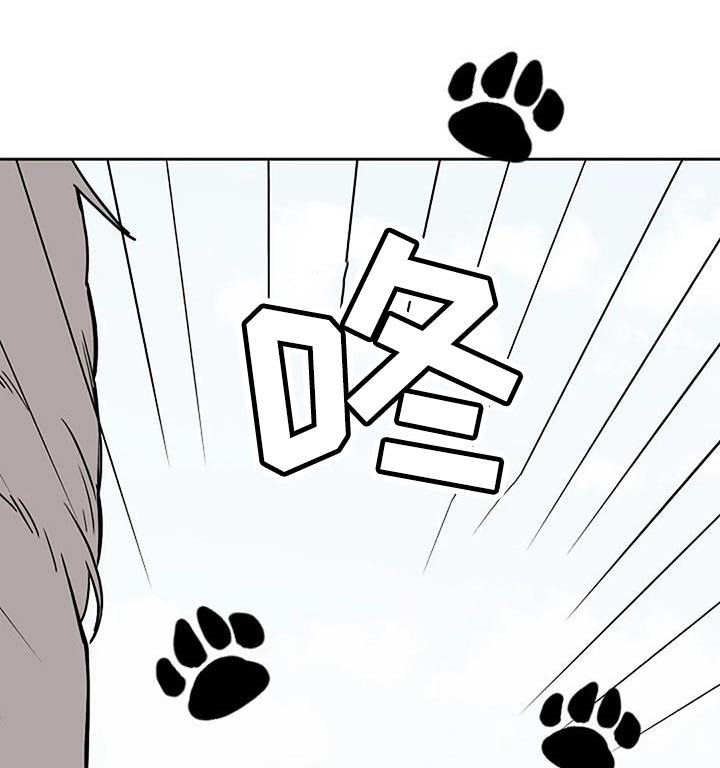 第20章：想往哪逃