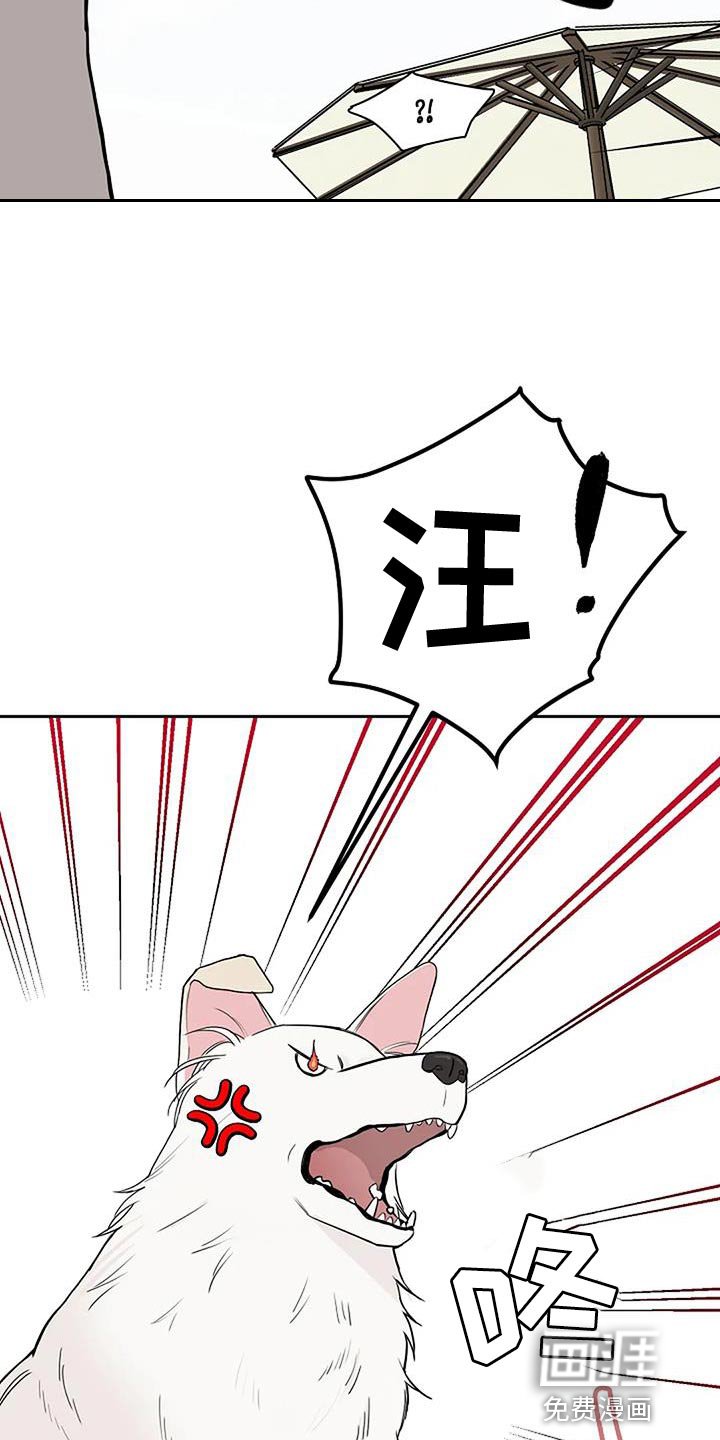 第20章：想往哪逃