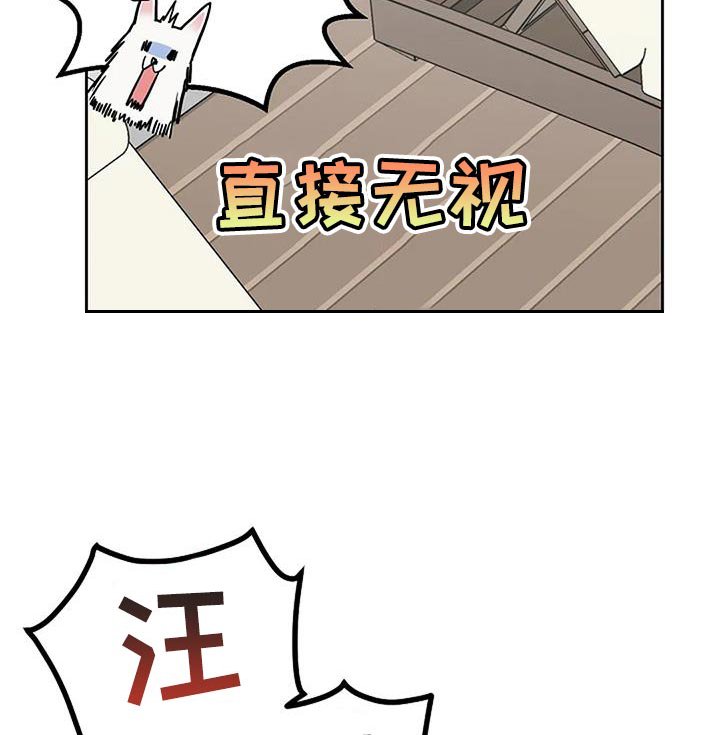 第20章：想往哪逃
