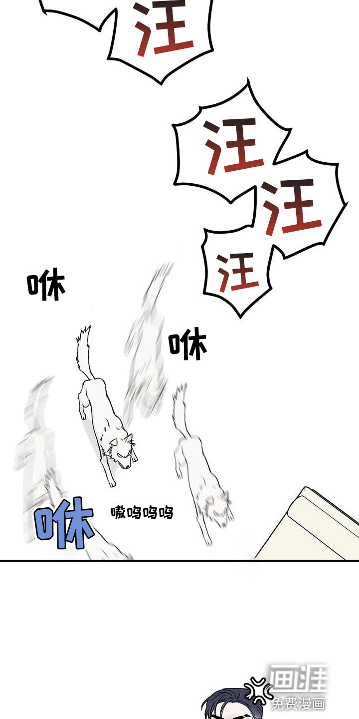 第20章：想往哪逃