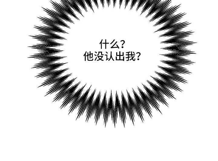 第33章：没认出我