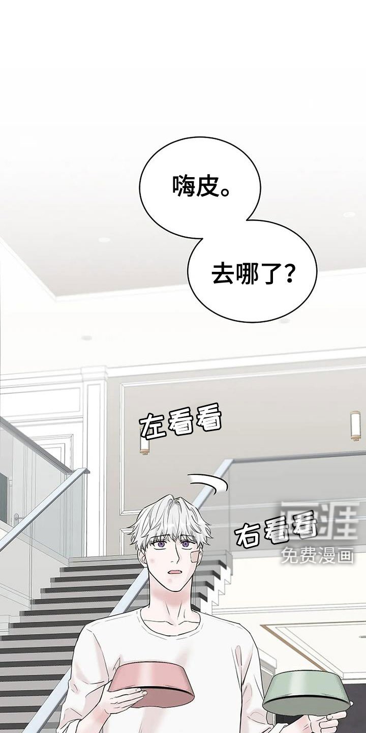 第35章：回来了