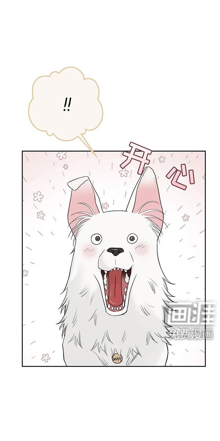 第35章：回来了