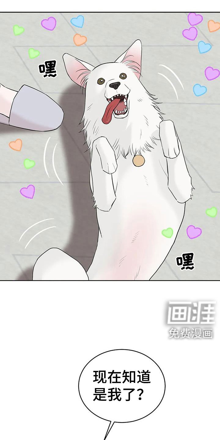 第35章：回来了