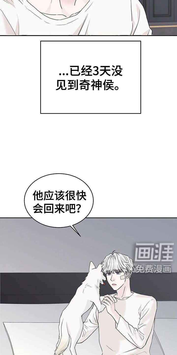 第35章：回来了