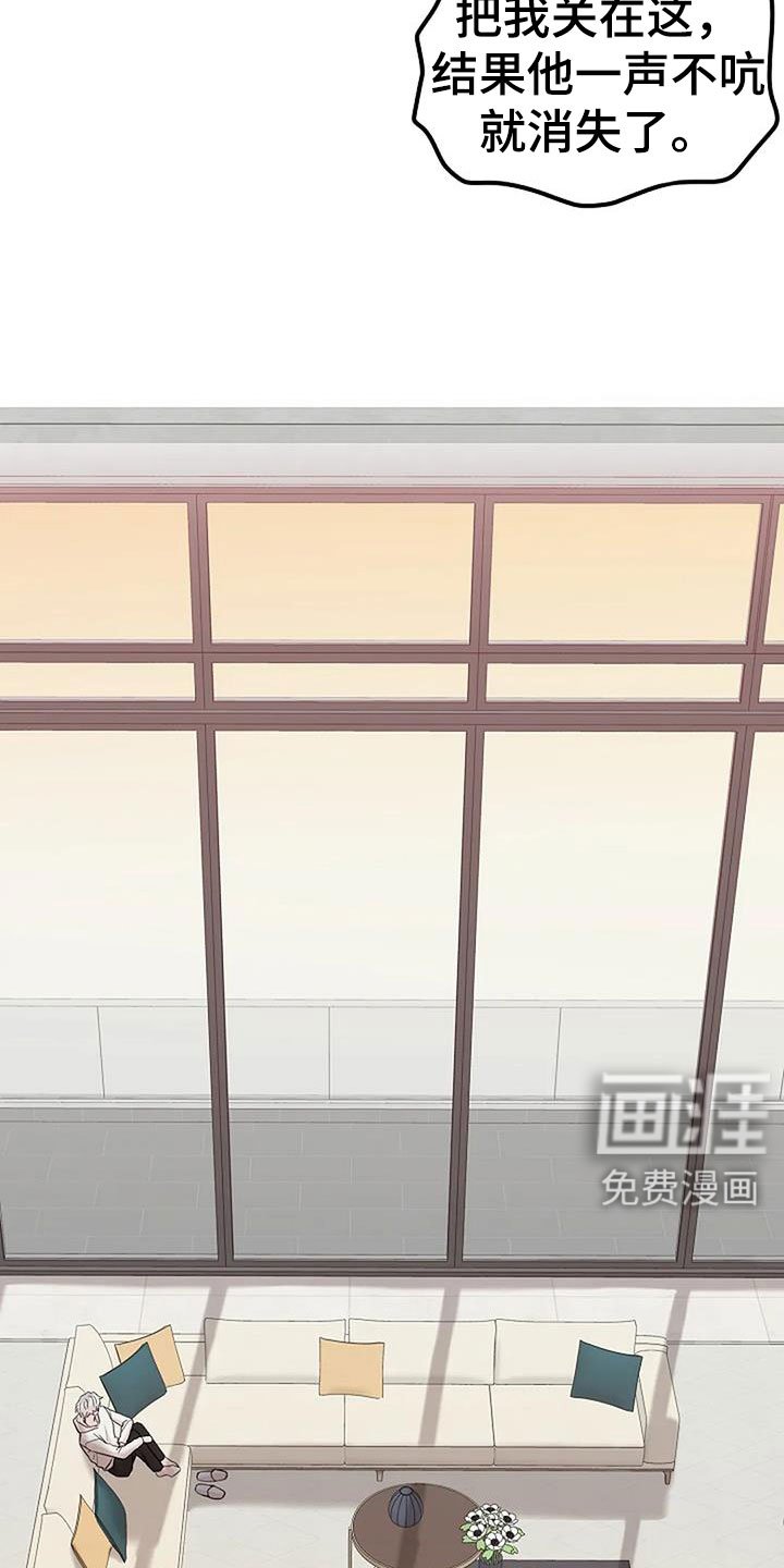第35章：回来了