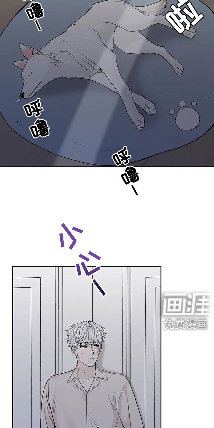 第35章：回来了