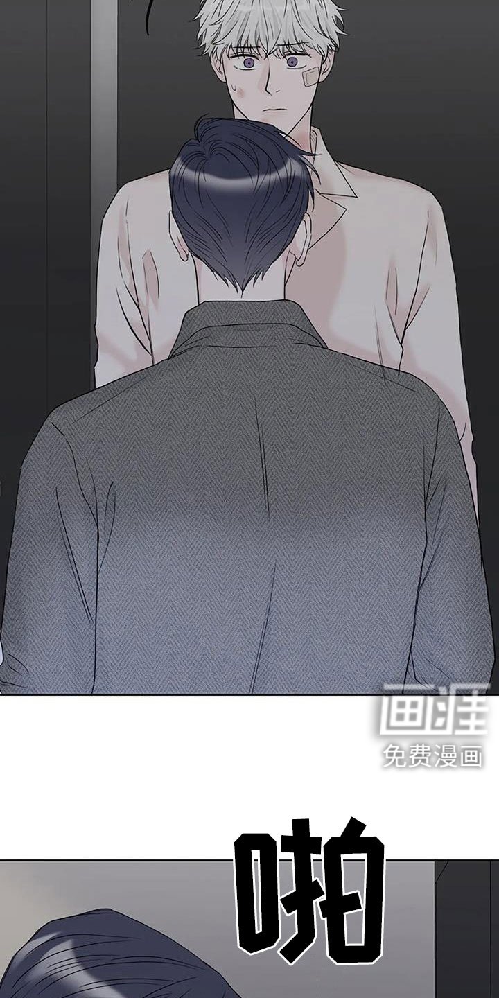 第35章：回来了