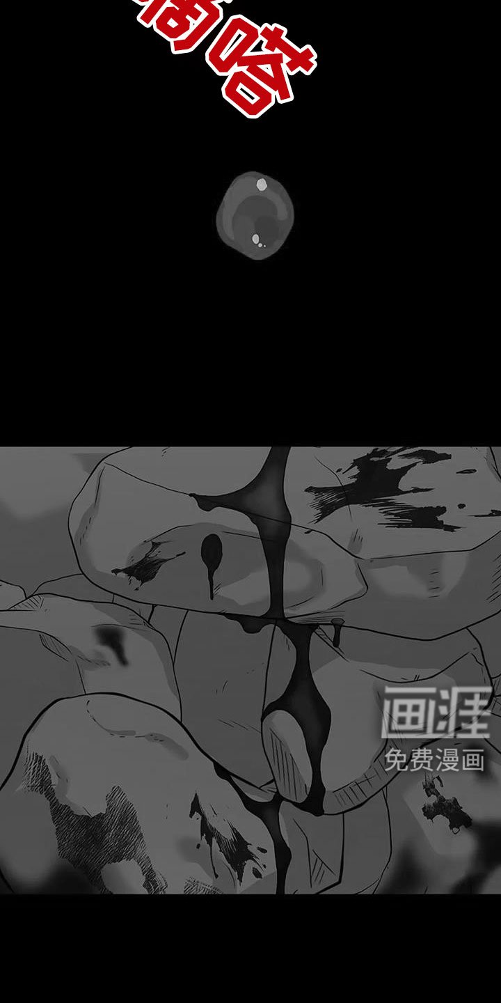 第37章：应该醒了