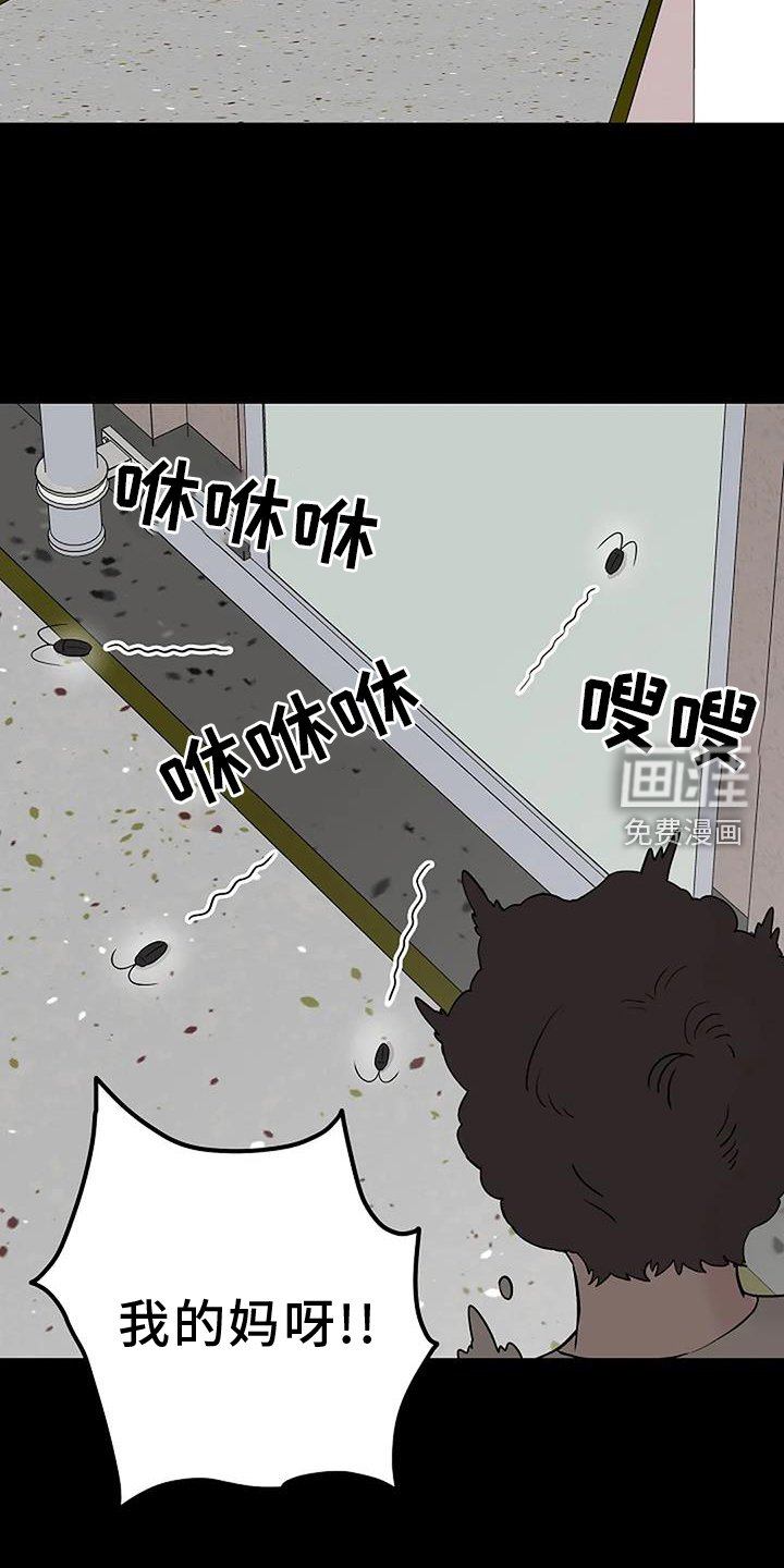 第44章：认识