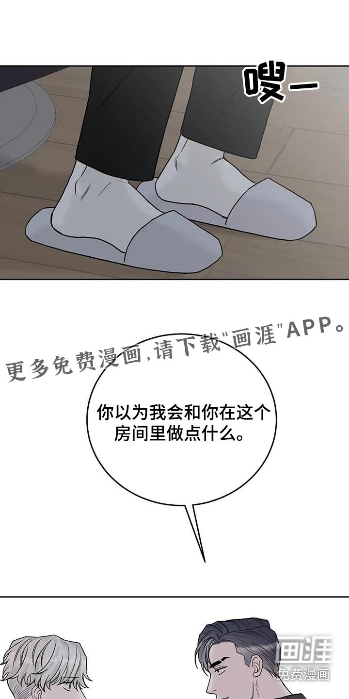 第52章：宠物