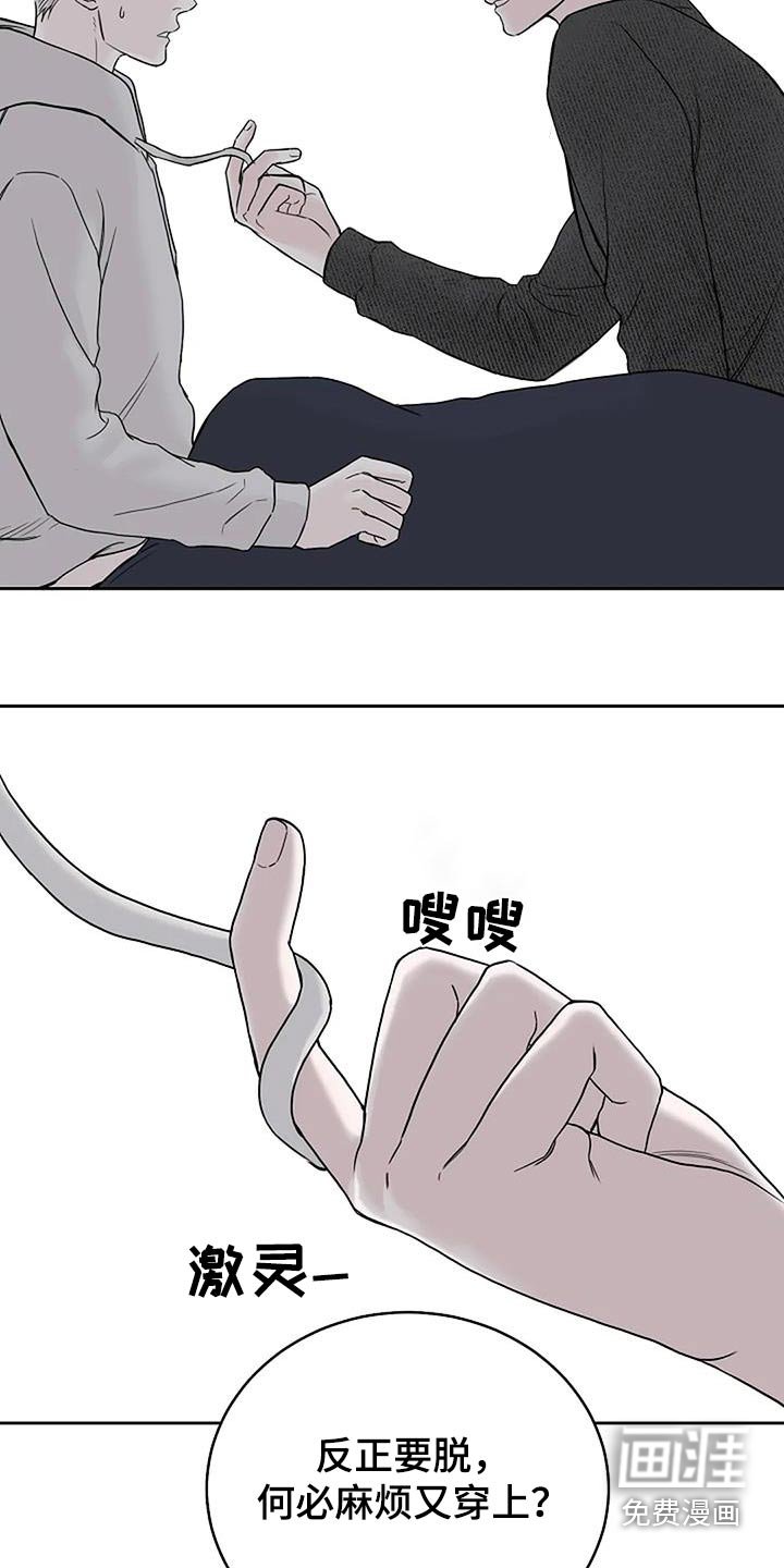 第52章：宠物