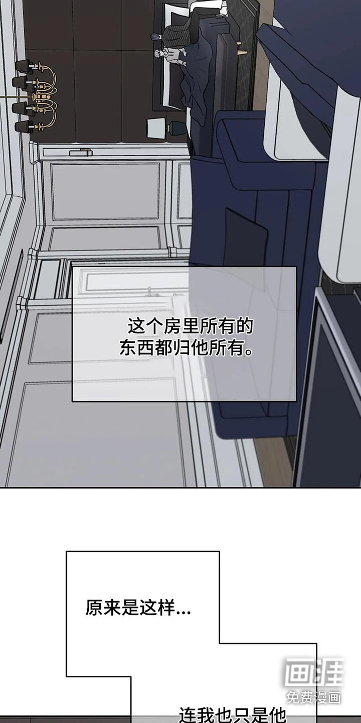 第52章：宠物