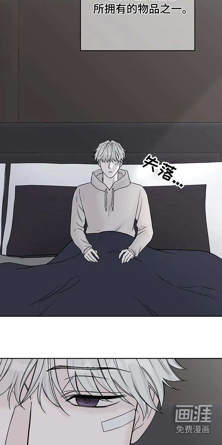 第52章：宠物