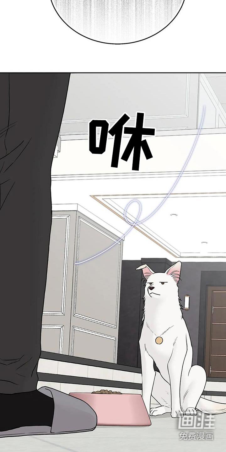 第52章：宠物