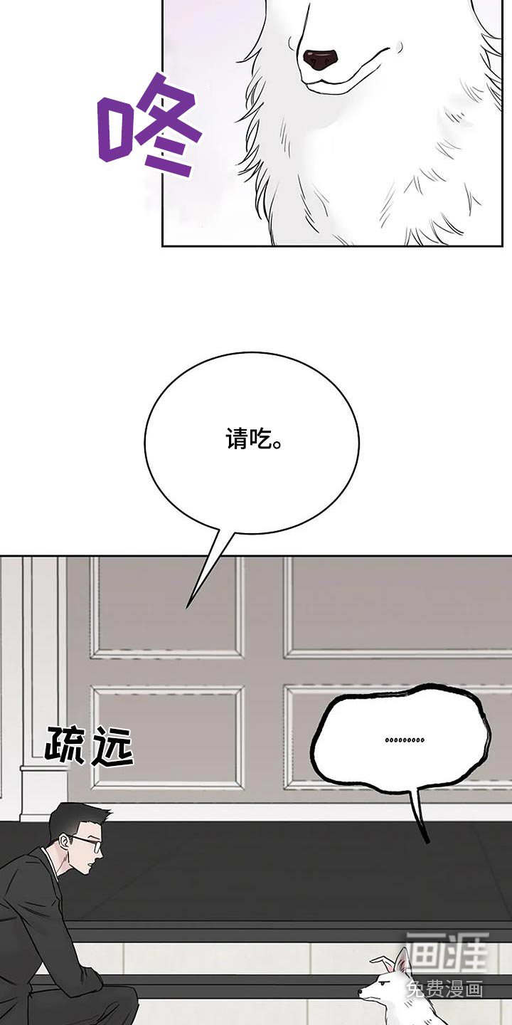 第52章：宠物