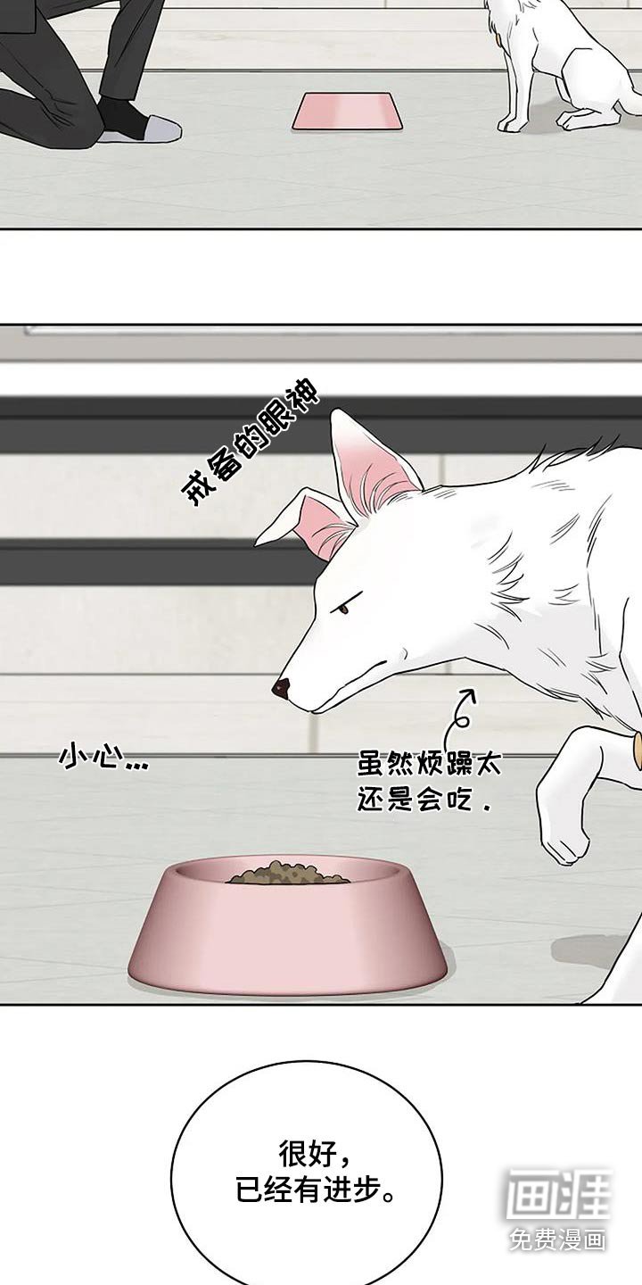 第52章：宠物