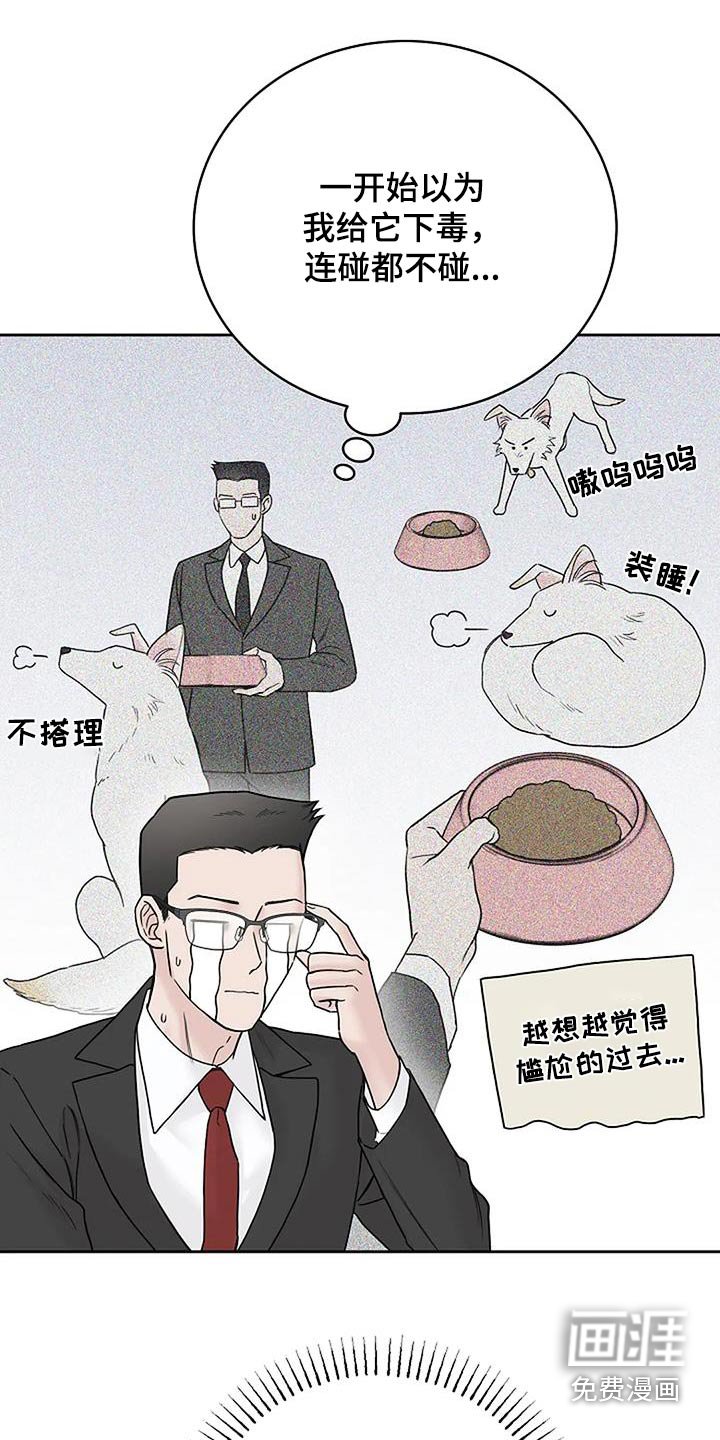 第52章：宠物