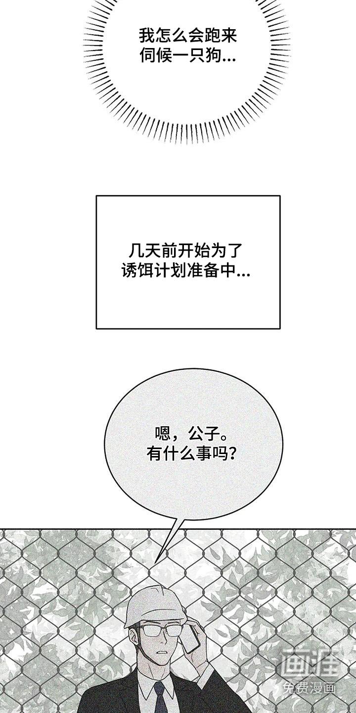 第52章：宠物