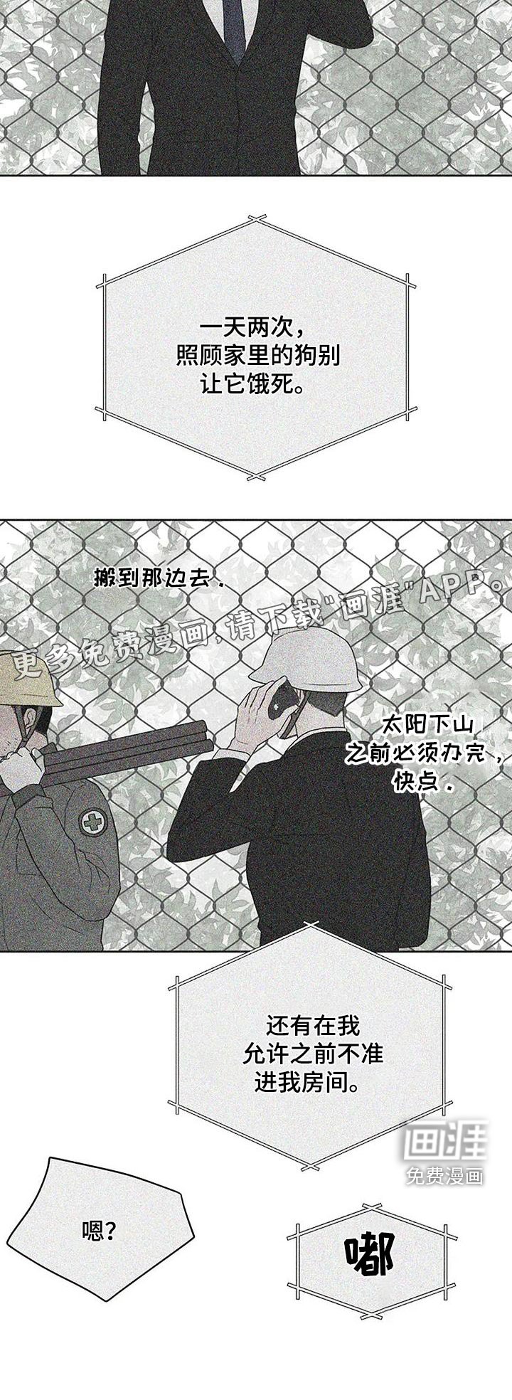第52章：宠物
