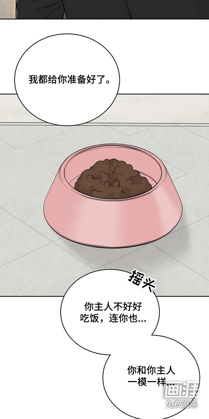 第55章：为什么不吃