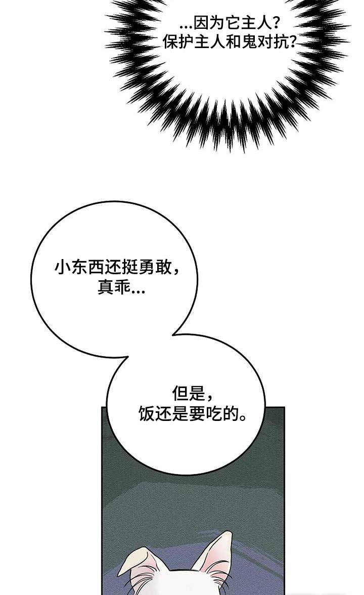 第55章：为什么不吃