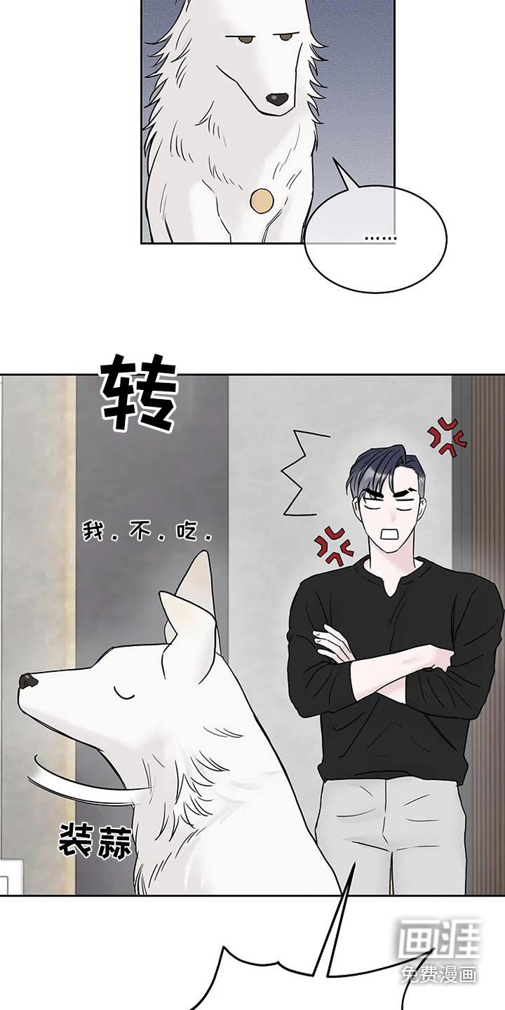 第55章：为什么不吃