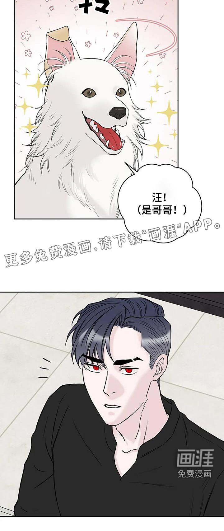 第55章：为什么不吃